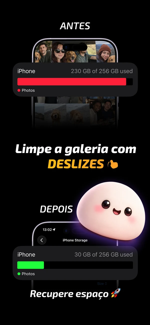 Resultado da limpeza do armazenamento de fotografias
